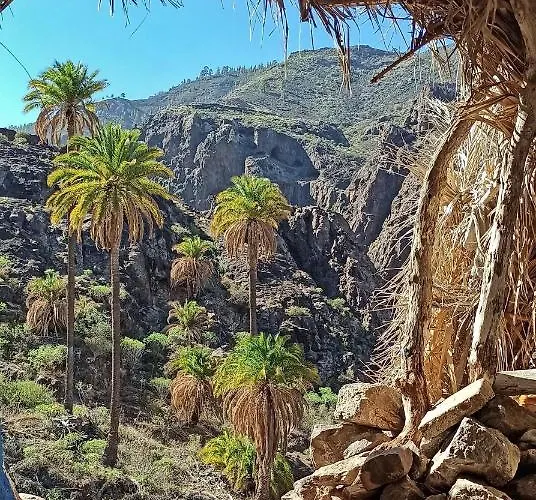 דירה Mini Estudio El Reloj